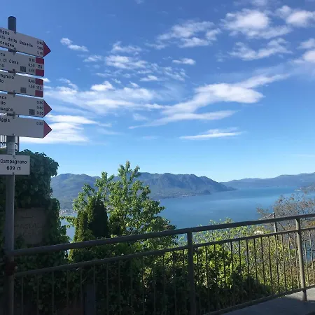 Vista